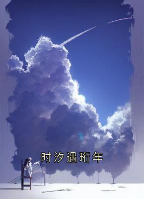 时汐遇珩年