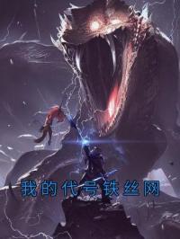 我的代号铁丝网